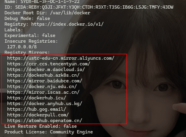 image-20240829214828416