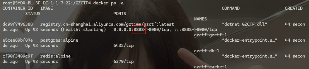 image-20240829232329791